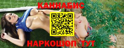 сатива Будённовск