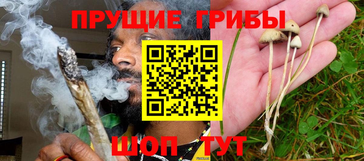 Псилоцибиновые грибы MAGIC MUSHROOMS Щёлково