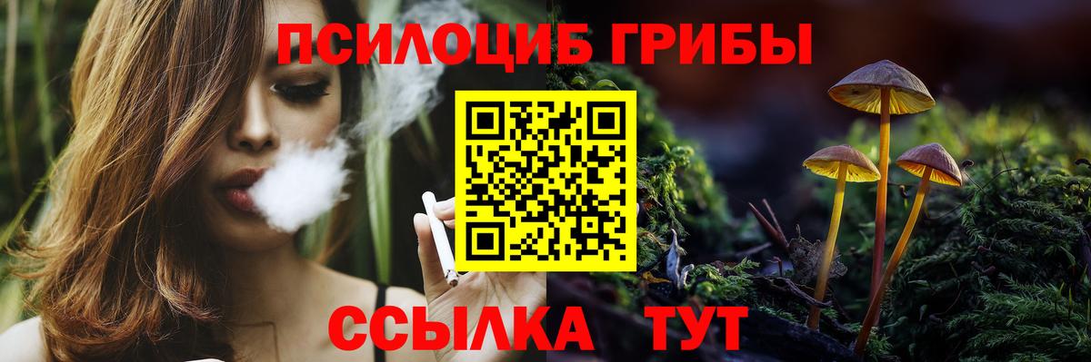 Галлюциногенные грибы прущие грибы  Вход с VPN  дарнет шоп  Галлюциногенные грибы Psilocybe  Щёлково 